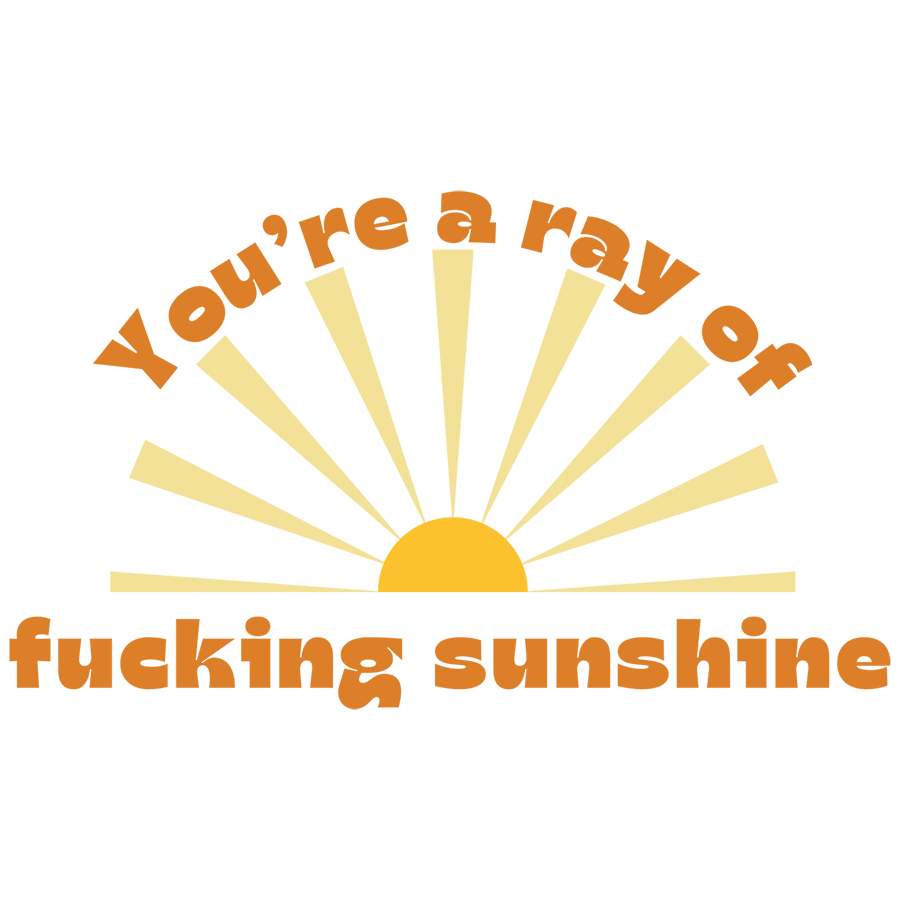 Mirror Cling | Window Cling - "You're a ray of fucking sunshine"