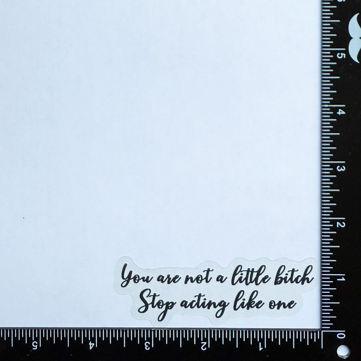 Mirror Cling | Window Cling - "You are not a little bitch Stop acting like one