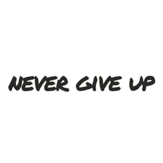 Mirror Cling | Window Cling - "Never Give Up"