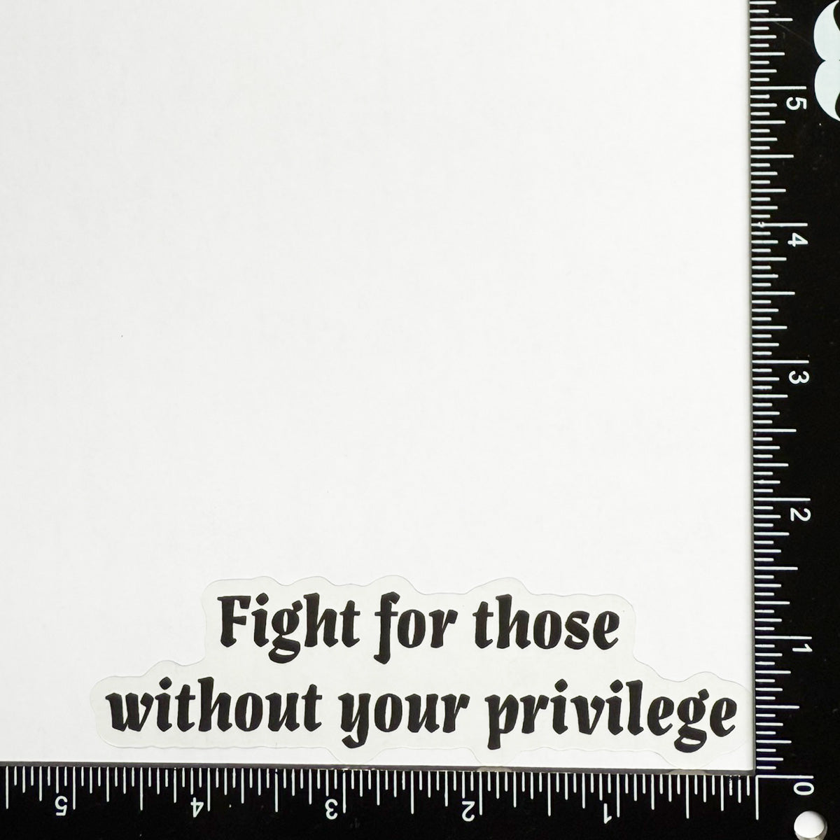 Mirror Cling | Window Cling - "Fight for those without your privilege"