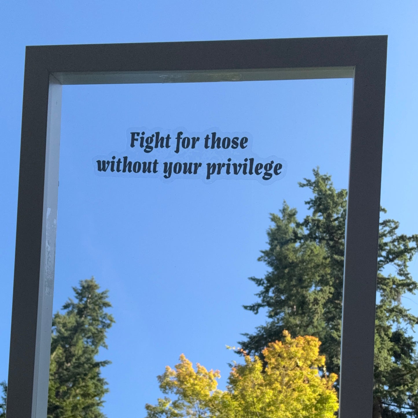Mirror Cling | Window Cling - "Fight for those without your privilege"