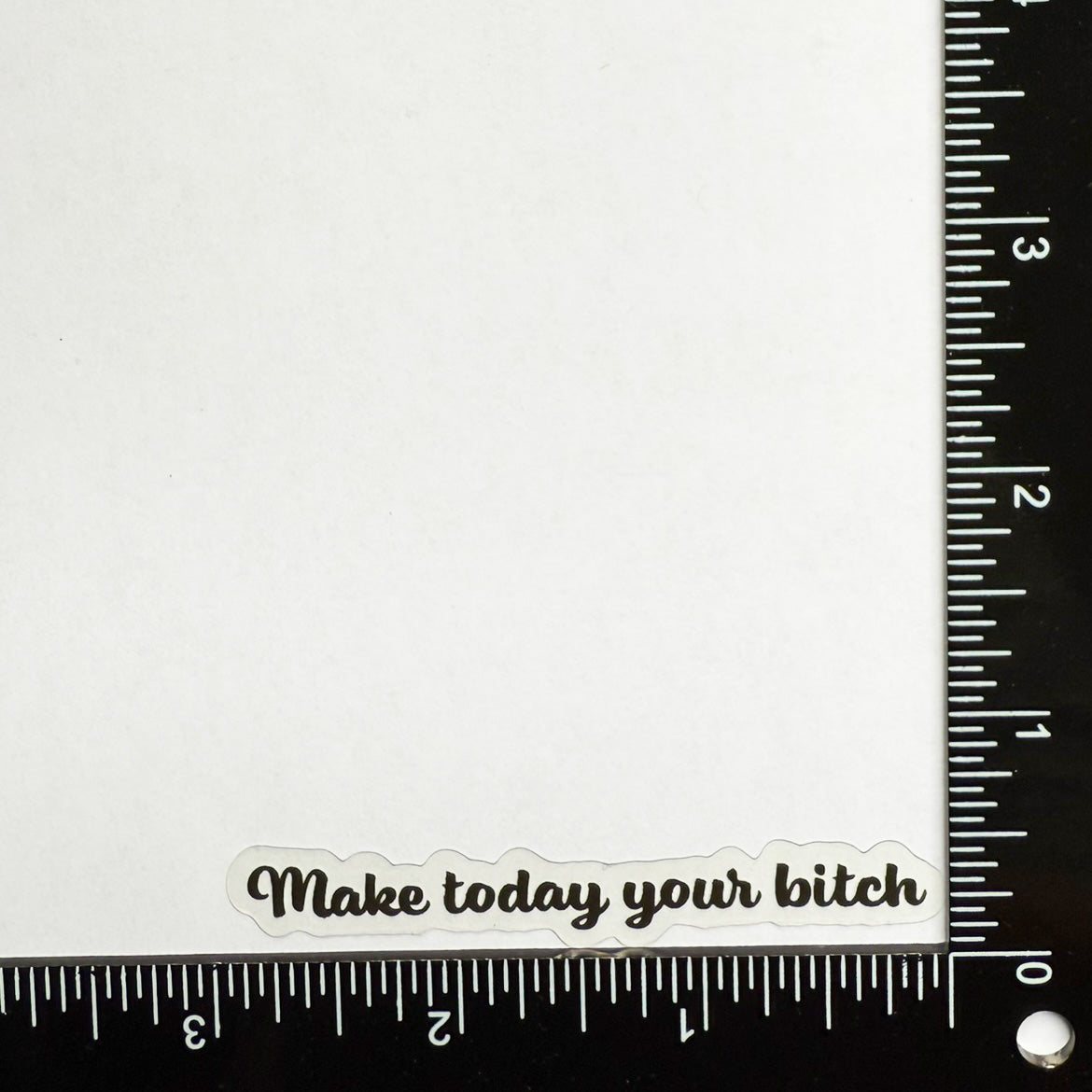 Mirror Cling | Window Cling - "Make today your bitch"