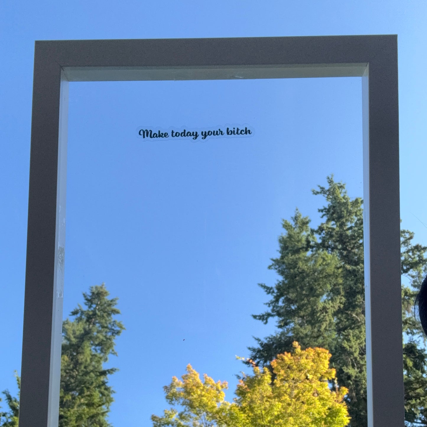 Mirror Cling | Window Cling - "Make today your bitch"